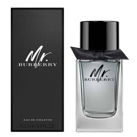 mr burberry edt fragrantica